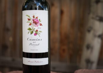 What Makes Álvaro Palacios One of the Most Influential Figures in Modern Winemaking?