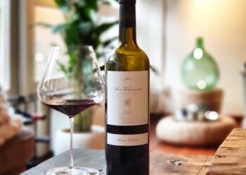 What Makes Álvaro Palacios Wines Stand Out in the World of Fine Wine?