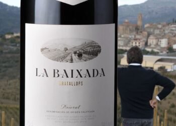 What Makes Álvaro Palacios’ Wines So Highly Regarded by Collectors and Critics?