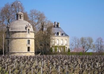 What Makes Chateau Latour a Benchmark for Excellence in Fine Wine?