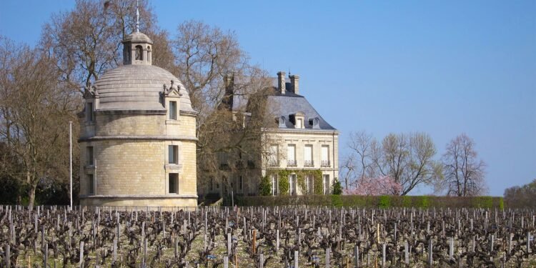 What Makes Chateau Latour a Benchmark for Excellence in Fine Wine?