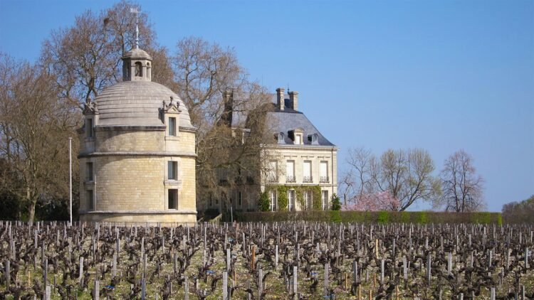 What Makes Chateau Latour a Benchmark for Excellence in Fine Wine?