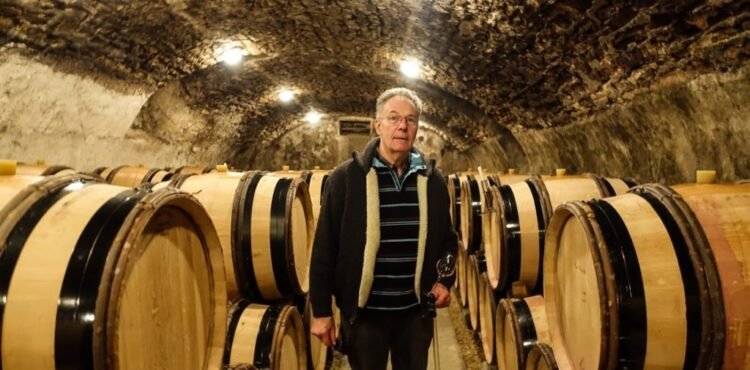 Who Are the True Connoisseurs of Domaine de la Romanée-Conti, and What Do They Really Think?