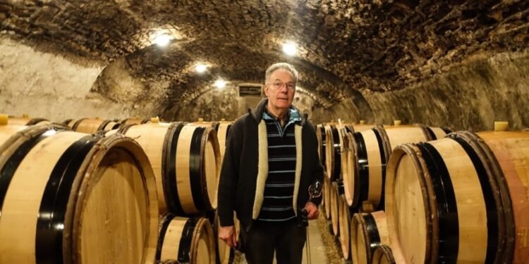Who Are the True Connoisseurs of Domaine de la Romanée-Conti, and What Do They Really Think?
