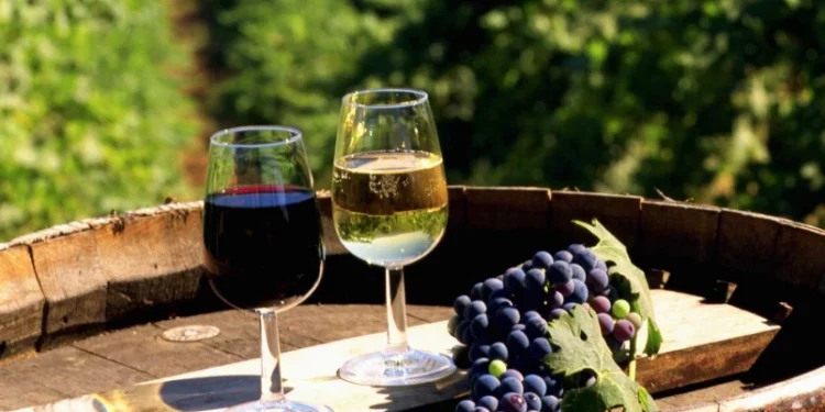 What Makes Domaine Leroy the Benchmark of Luxury in Burgundy?