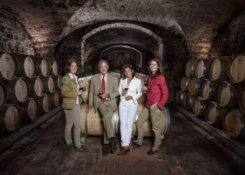 How Has Antinori Mastered Marketing and Positioning to Become a Global Wine Icon?