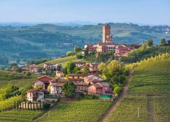 What Makes Barbaresco One of Italy’s Most Influential Wines?