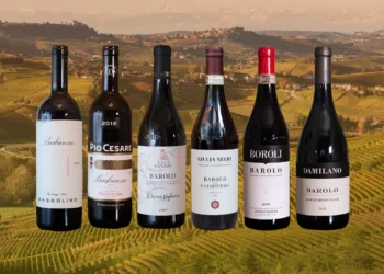 What Makes Barbaresco One of Italy’s Most Esteemed Wines?