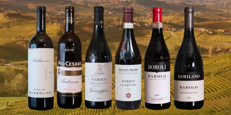 What Makes Barbaresco One of Italy’s Most Esteemed Wines?