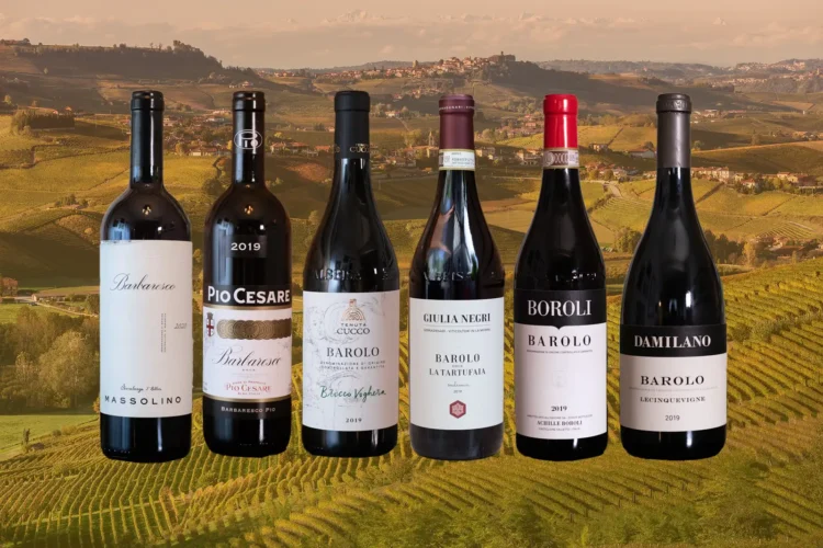 What Makes Barbaresco One of Italy’s Most Esteemed Wines?