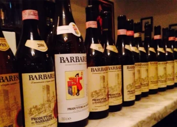 What Makes Barbaresco One of the Most Sought-After Wines in the World?