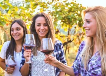 What Makes Barbaresco a Favorite Among Wine Enthusiasts?