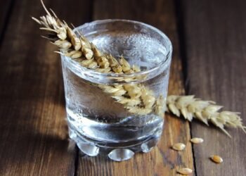 What’s the Secret to Mastering the Art of Grain-Based Vodka?