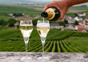 Why Is Champagne Only Made in the Champagne Region?