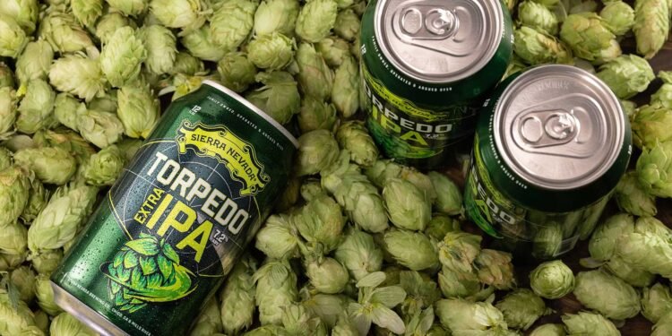 Is This the Ultimate Guide to Understanding IPA Hops?