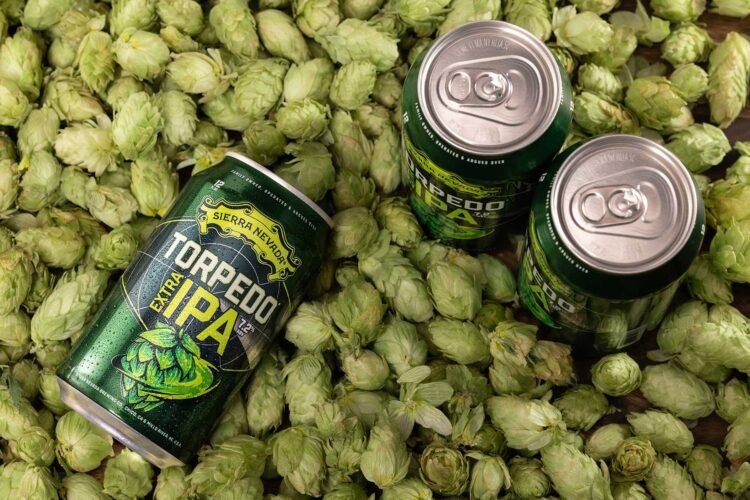 Is This the Ultimate Guide to Understanding IPA Hops?