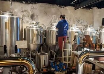 Ever Wondered How Yeast Creates Your Favorite Beer Flavor?