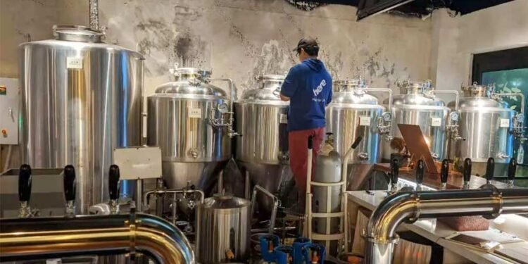 Ever Wondered How Yeast Creates Your Favorite Beer Flavor?