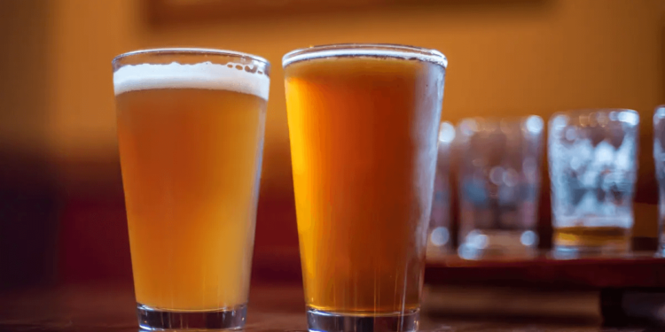 Can Water Really Make or Break Your Beer?