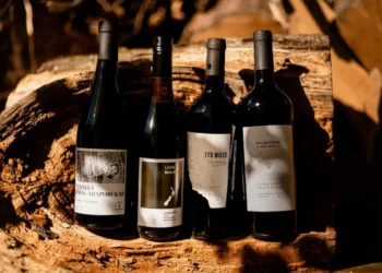 What Are the Differences Between Old World and New World Wines?