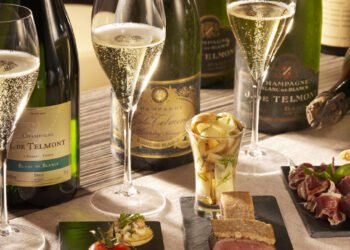 Why is the Terroir of Champagne So Important?