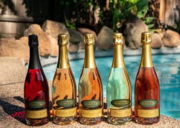 What Are the Key Differences Between Sparkling Wines and Champagne?