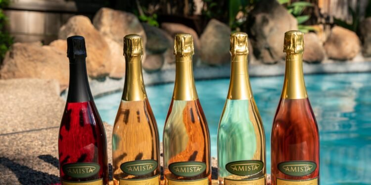 What Are the Key Differences Between Sparkling Wines and Champagne?