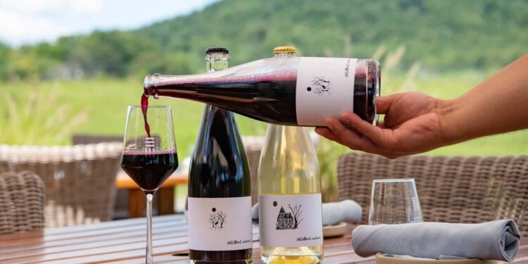 How Do Wine Pairings Enhance Culinary Experiences?