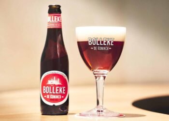 Why Is Beer So Diverse? Understanding the Global Range of Styles