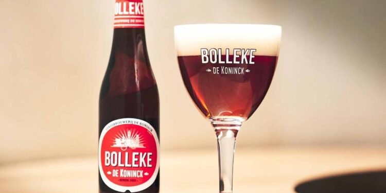 Why Is Beer So Diverse? Understanding the Global Range of Styles