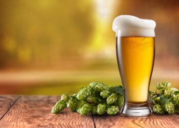 How Does the Hops Variety Change the Beer’s Aroma?