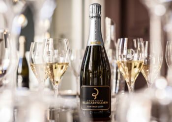What is the Difference Between Vintage and Non-Vintage Champagne?