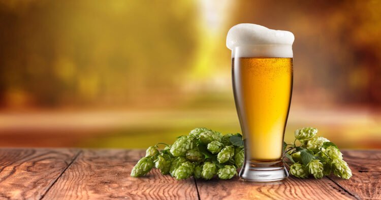 How Does the Hops Variety Change the Beer’s Aroma?
