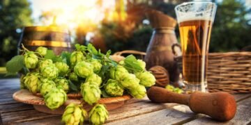 Can You Taste the Difference Between Different Hops?