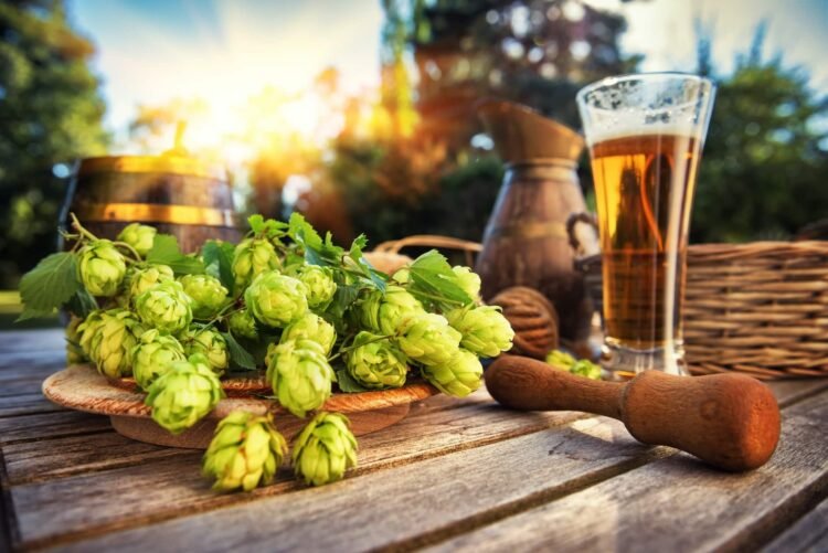 Can You Taste the Difference Between Different Hops?