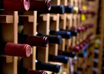 What Is the “Minerality” in Wine, and How Does It Affect Flavor?