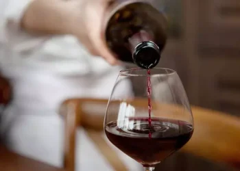 Red Wine: Do You Understand Its Deep Aromas and Rich Flavors?