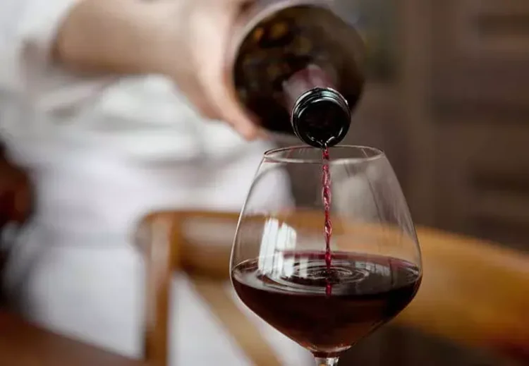 Red Wine: Do You Understand Its Deep Aromas and Rich Flavors?