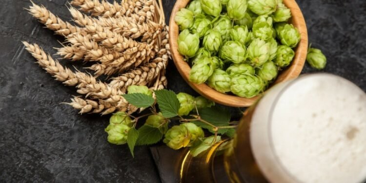 The Magic of Hops: How Do They Bring Diverse Bitterness and Aromas to Beer?
