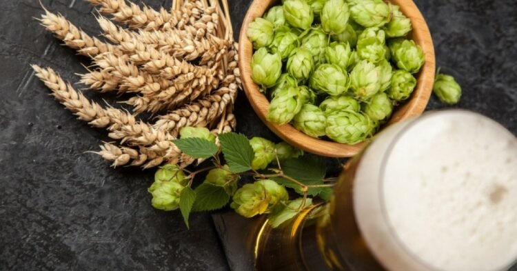 The Magic of Hops: How Do They Bring Diverse Bitterness and Aromas to Beer?