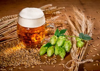 Water, Malt, and Yeast: How the Four Key Ingredients of Beer Create Its Unique Flavor