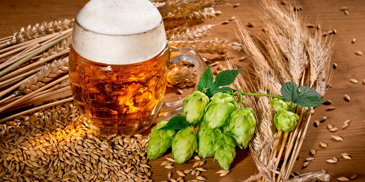 Water, Malt, and Yeast: How the Four Key Ingredients of Beer Create Its Unique Flavor