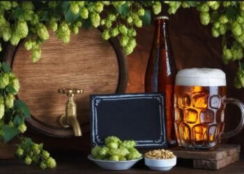 Do You Know the Key Differences Between Brewing Lager and Ale Beer?