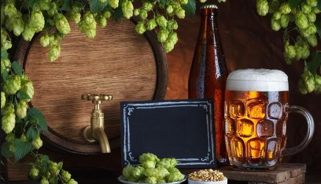 Do You Know the Key Differences Between Brewing Lager and Ale Beer?