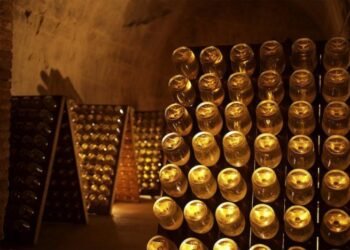 Why Is the Shape of Champagne Bottles So Different from Traditional Wine Bottles?