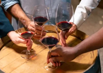 From Grape to Bottle: Which Stages Have the Greatest Influence on a Wine’s Unique Flavor?