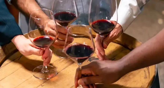 From Grape to Bottle: Which Stages Have the Greatest Influence on a Wine’s Unique Flavor?