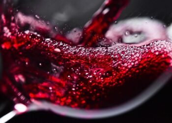 Do You Know How Tannins and Acidity in Red Wine Influence Its Taste?