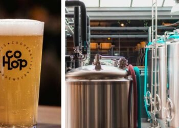 Can Yeast Choice Change a Beer’s Personality?