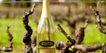 Is There a Difference Between Blanc de Blancs and Blanc de Noirs Champagne?